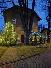 Weihnachtliche Minzebank